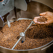 Hand holding coffee beans above a large container of coffee beans with a coffee roasting machine.