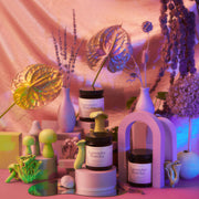 Lavender Matcha products with decorative plants and vases on a pink background