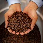 Hands holding a handful of coffee beans with a blurred background