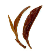 Three dried brown seaweed strips on a white background
